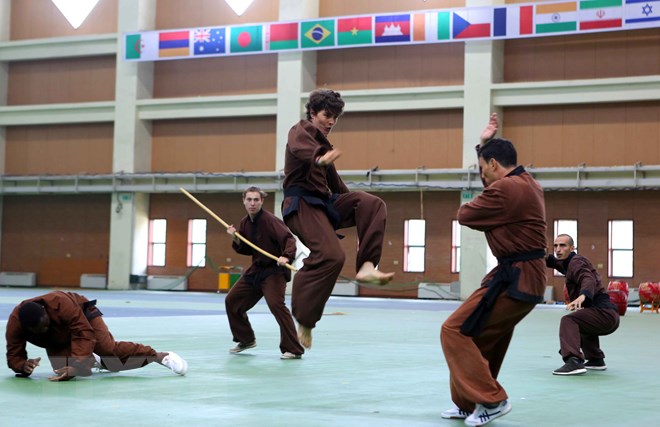 43 delegations compete in 2nd Vovinam World Championships