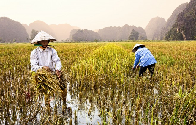 Vietnam among Top Destinations for Gap year