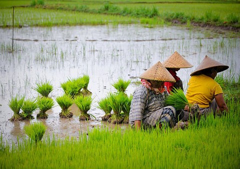 Vietnam and seven ASEAN countries among world’s outperforming emerging economies