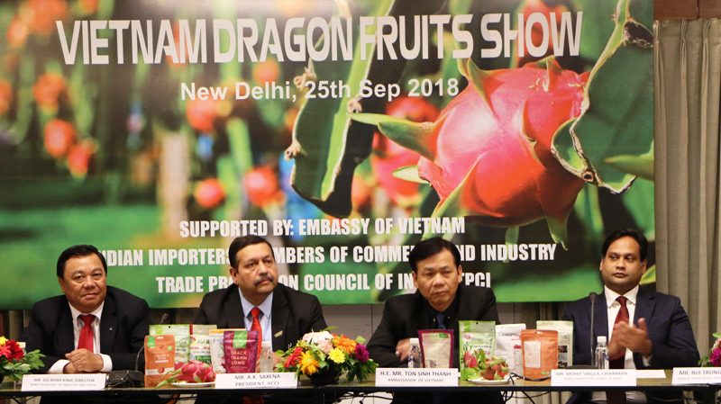 Binh Thuan dragon fruit promoted in Indian market