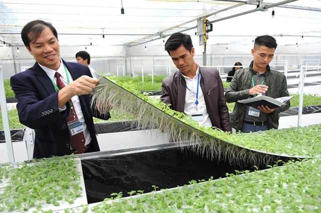 Vietnam, RoK cooperate in hi-tech agricultural production