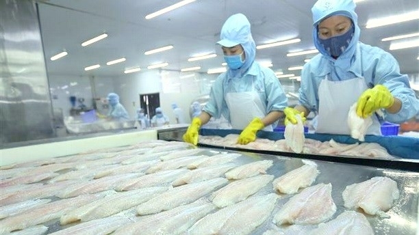 Pangasius exports to US market rocket in Q3