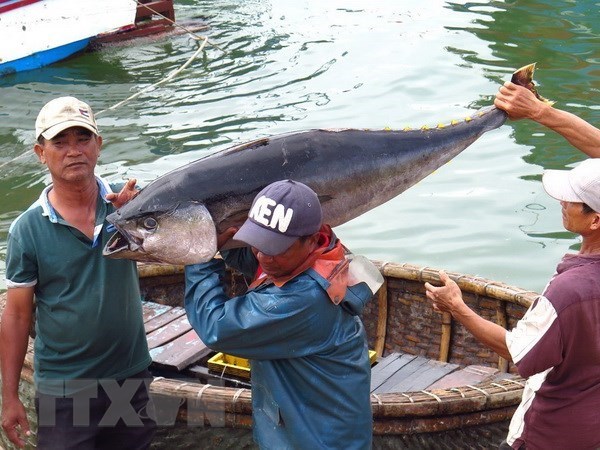 Binh Dinh province joins national efforts to reduce IUU fishing