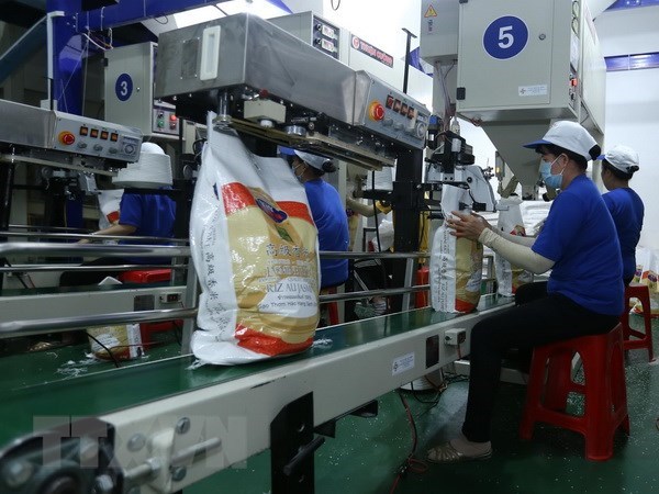 Can Tho, Indonesia look to boost coordination