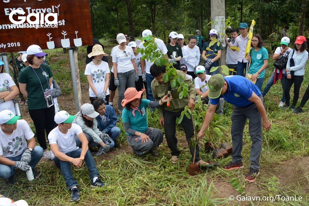 Young people help spread green tourism