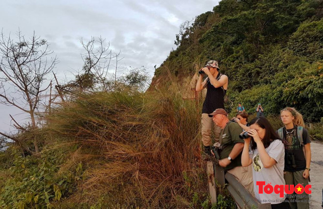 Nearly 7 million tourists visit Da Nang in 10 months