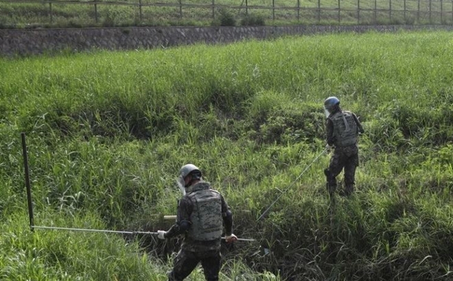 DPRK, RoK begin dismantling mines along DMZ