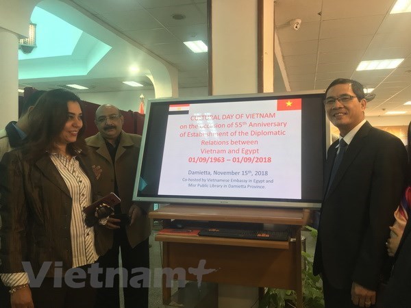 Vietnamese culture day held in Egypt’s Damietta province
