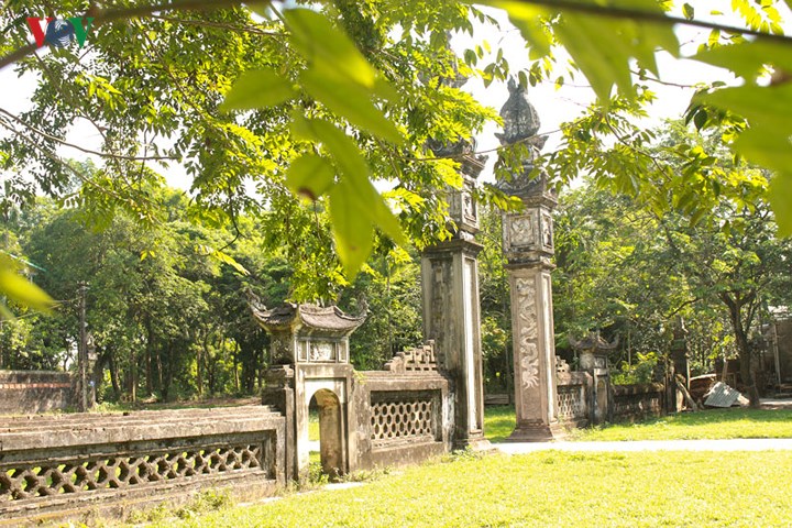 Three Sua trees in Quan Gia communal house