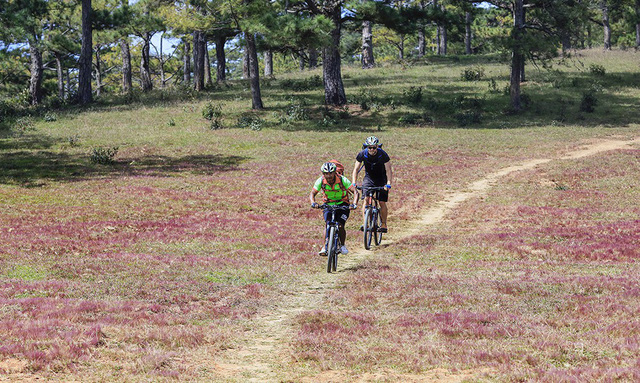 Lam Dong expects to earn over VND11 trillion from tourism