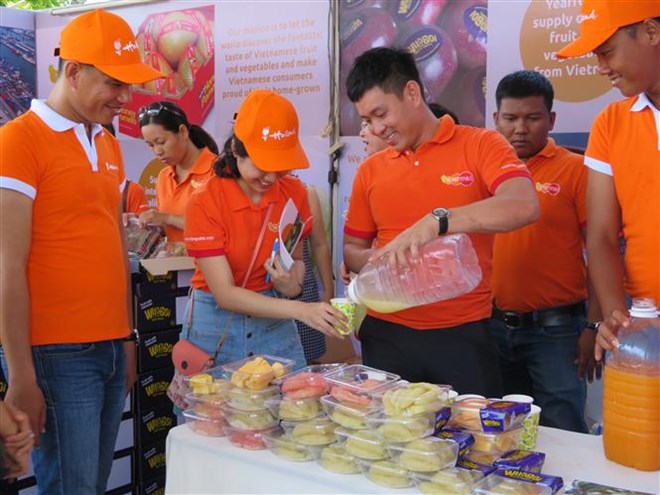Dutch Cultural Festival opens in Can Tho