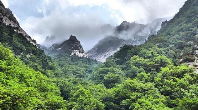 Two Koreas mark 20th anniversary of Mount Geumgang tour