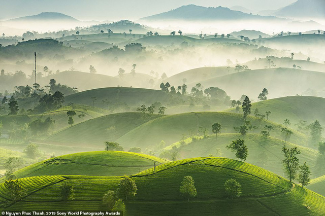 Vietnamese photographer’s work among top Sony World Photography Awards 2019