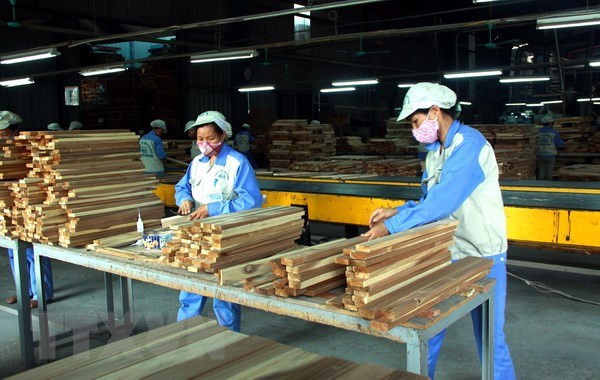 Forestry, aquatic exports expected to earn USD20 5 billion in 2019