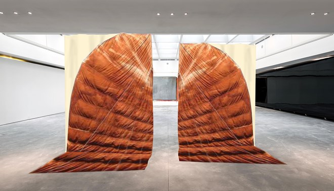 Exhibition by Vietnamese-born French artist Thu Van Tran in Hanoi