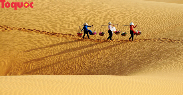 Mui Ne to become high-quality tourism center
