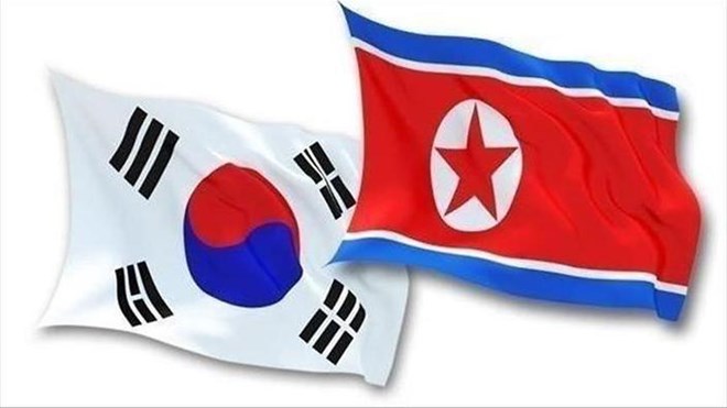 Two Koreas discuss joint efforts to combat infectious diseases