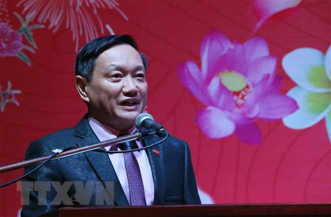 Vietnamese community in Laos welcomes Lunar New Year of Pig
