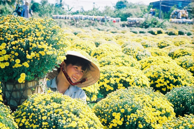 5 ideal destinations in the South for Lunar New Year festival