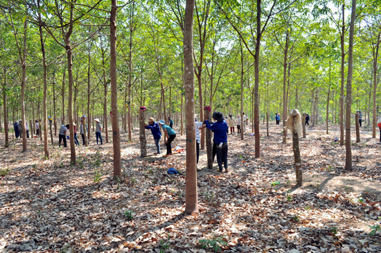 Southern city seeks investment opportunities in Laos