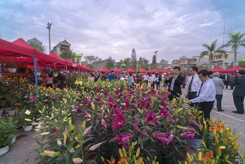 Hoanh Bo Spring Flower Festival 2019 to be opened