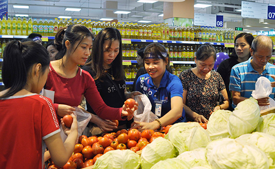 Hanoi’s price index rises 0 22 in first month of 2019