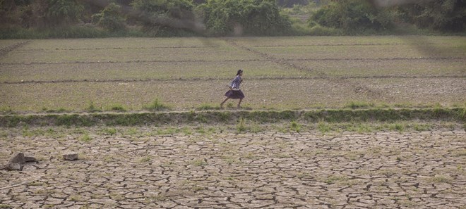 FAO assists Myanmar to improve food security