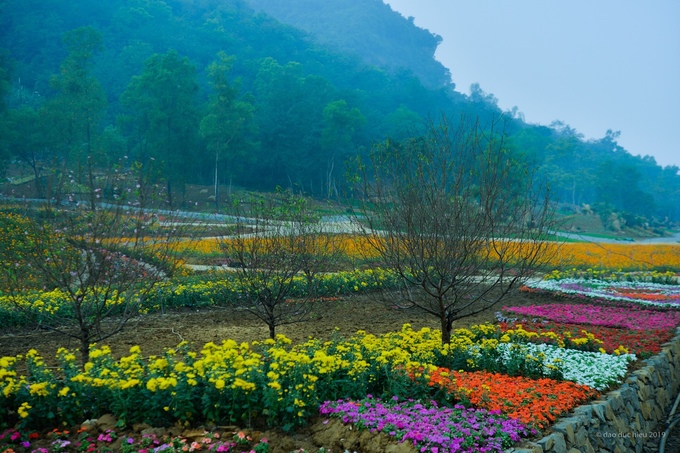 Flower festival in Ninh Binh to open on Tet holiday