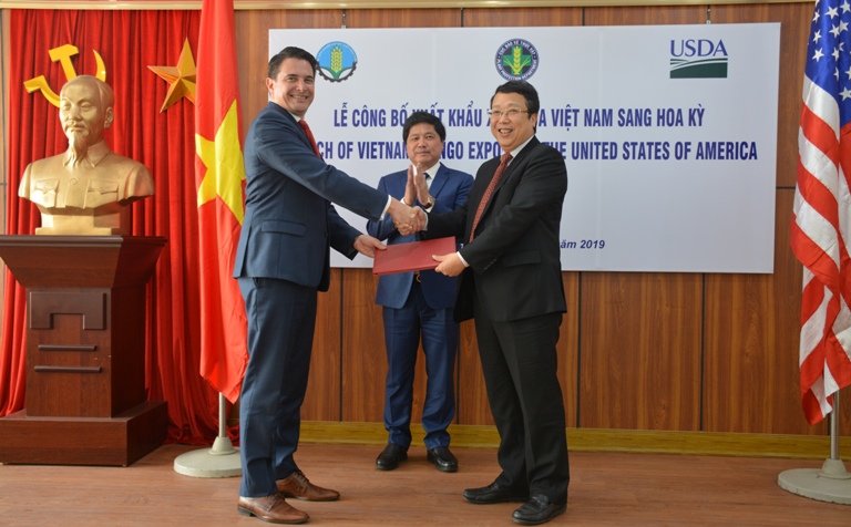 Vietnamese mangoes receive permission to enter US