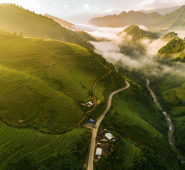 Work by Vietnamese photographer honoured on National Geographic