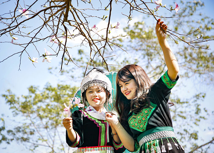Diverse cultural activities at Ban Flower Festival 2019