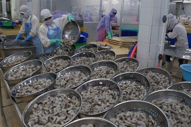 Vietnam aims to earn USD4 2 billion from shrimp exports
