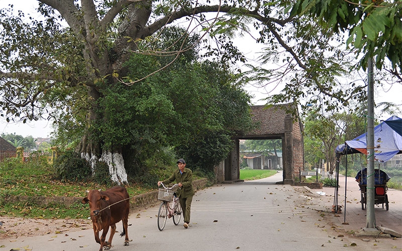 Unique Duong Lam ancient village
