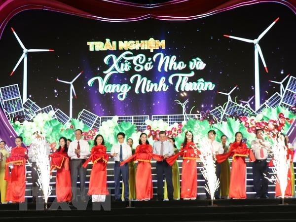 Grape and wine festival opens in Ninh Thuan province
