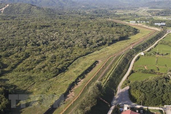 RoK to open peace trails leading to DMZ