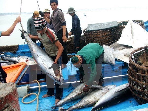 Vietnam’s tuna export to China shoots up