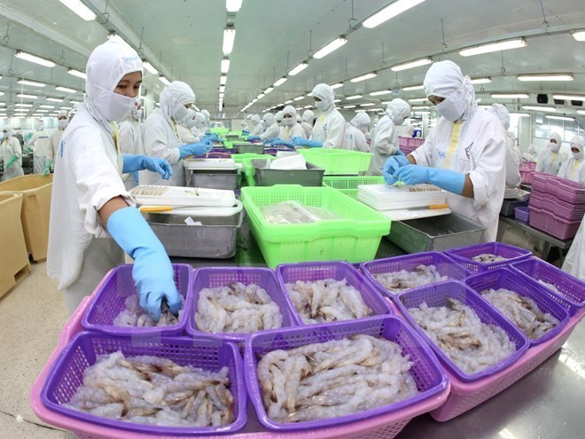 Vietnamese shrimp to US to enjoy zero tariffs