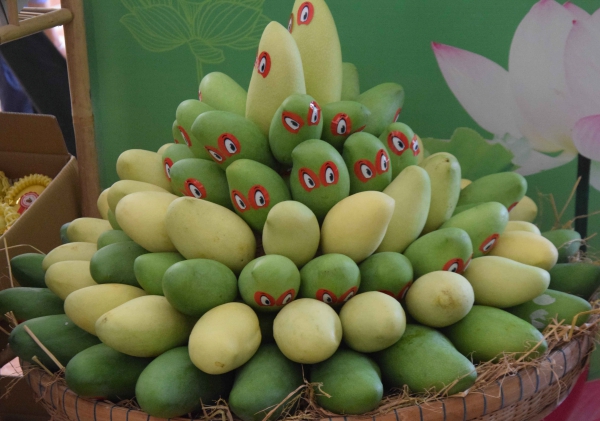 Vietnam exports first batch of mangoes to US