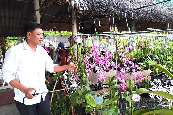 Effective production models carried out by realizing Uncle Ho’s testament