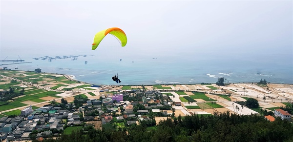 Ly Son island to host first paragliding festival