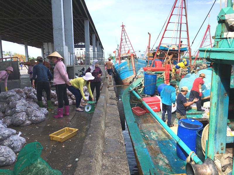 Southern province’s largest fishing port operates efficiently