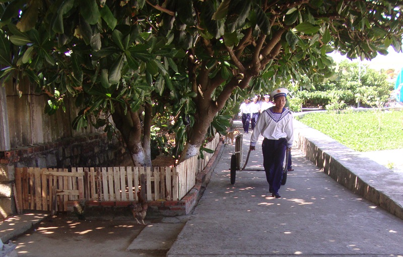 Spratly islands’ typical tree
