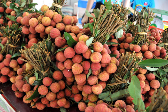 Bac Giang specialty litchi on show in Hanoi