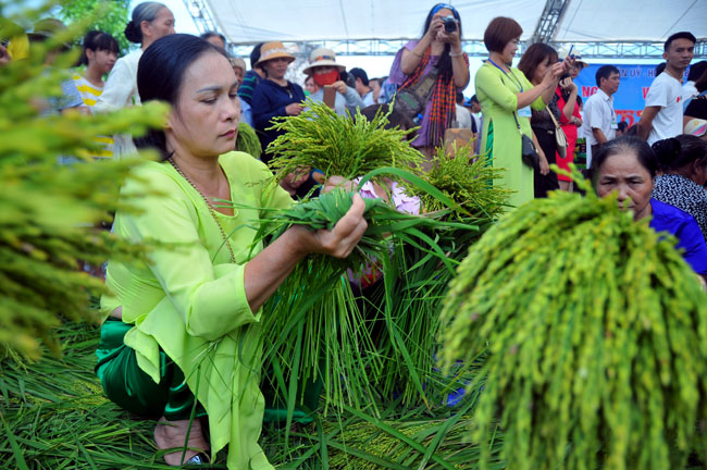 Hanoi’s green sticky rice specialty