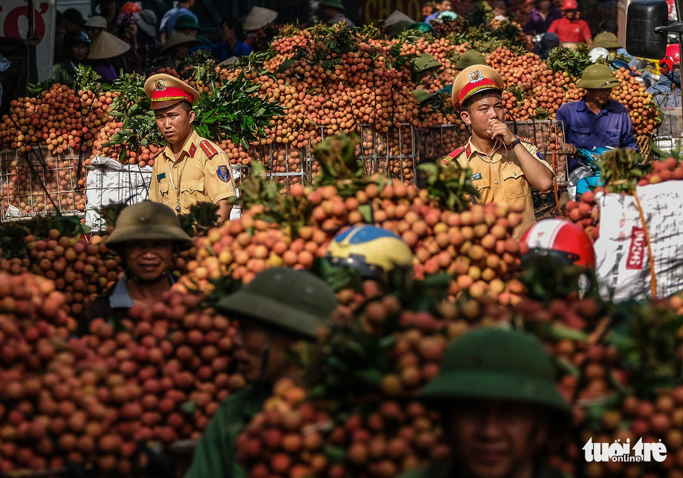 Farmers get high profits from litchi specialty