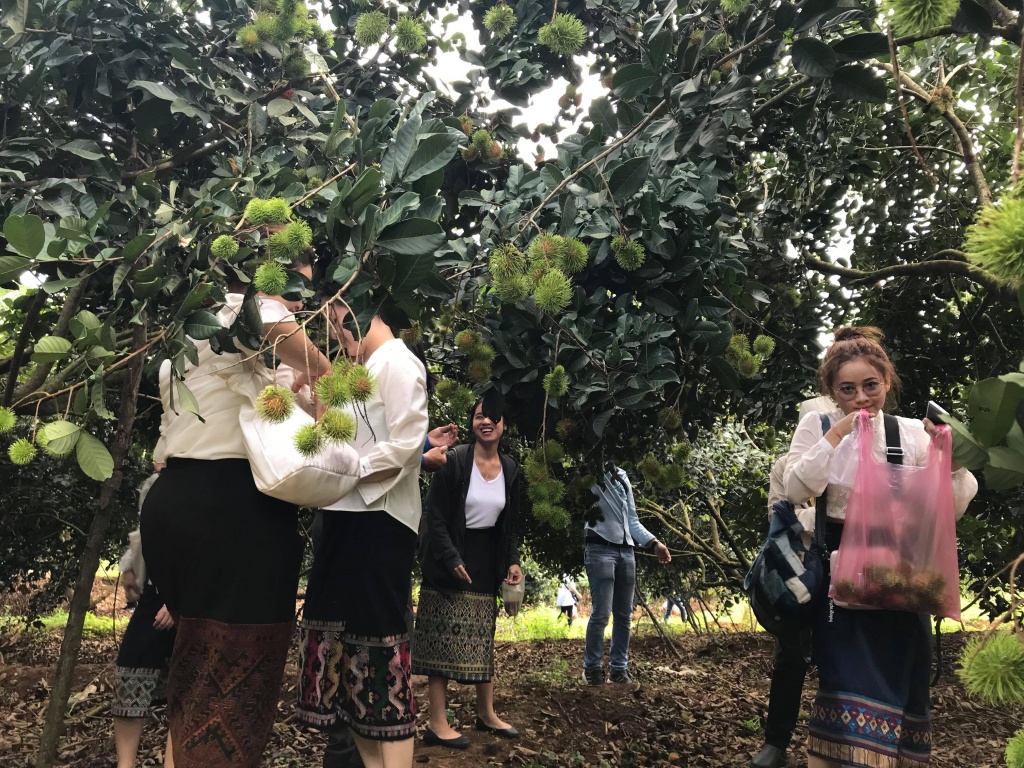 Lao and Cambodian students experience Vietnamese southern gardens