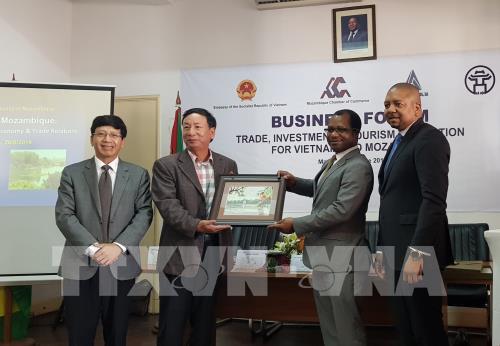 Vietnam, Mozambique promote cooperation in 3 areas