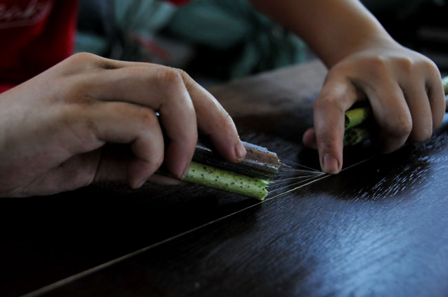 Lotus silk weaving
