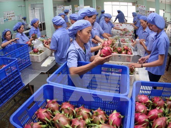 Fruit, vegetable exports top USD1 6 billion