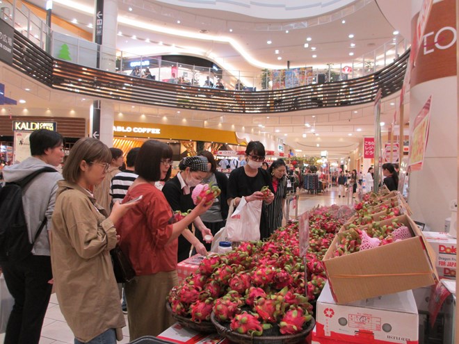 Vietnamese products introduced to Japanese customers